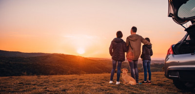 Tu mascota es uno más de la família