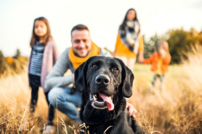 Tu mascota es uno más de la família